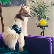 Dog Dress with Denim Skirt | Glitter Rainbow Design for Pet Outfit