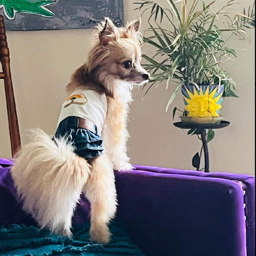 Dog Dress with Denim Skirt | Glitter Rainbow Design for Pet Outfit