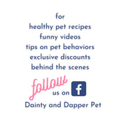 Dog Easter Basket Gift Box | Holiday Present with Bandana & Toy for Dog