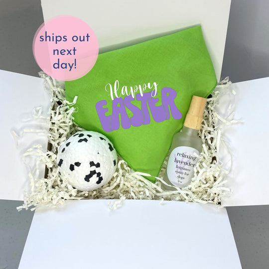Dog Easter Basket Gift Box | Holiday Present with Bandana & Toy for Dog