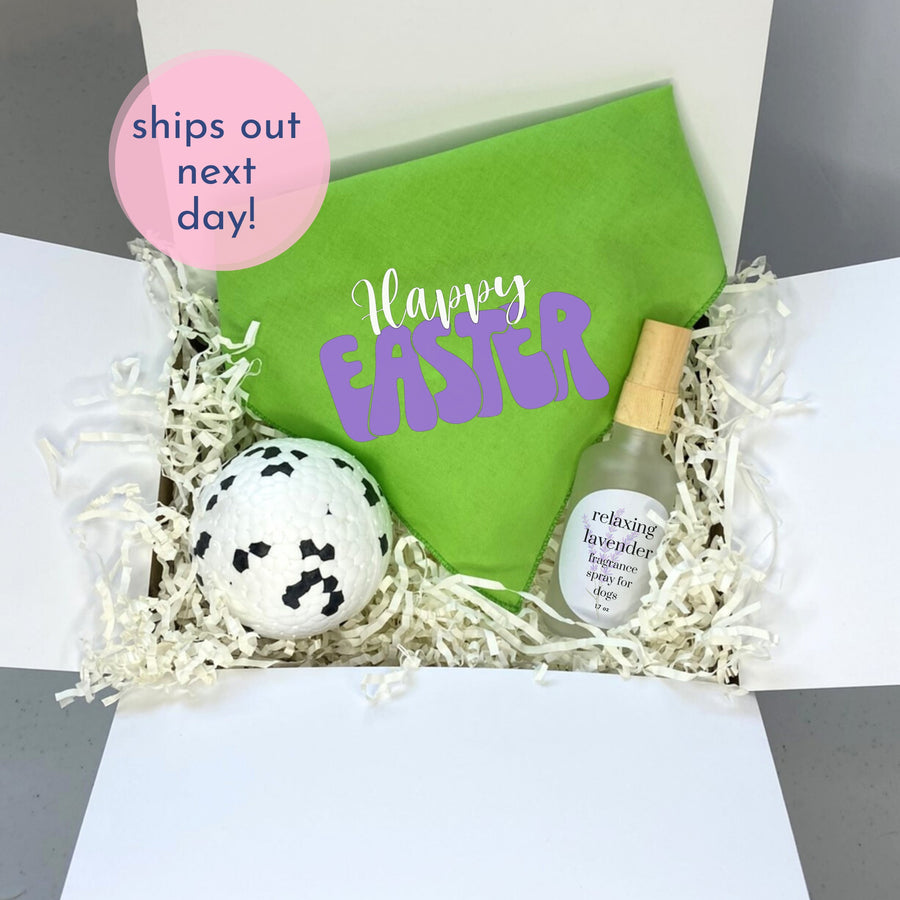 Dog Easter Basket Gift Box | Holiday Present with Bandana & Toy for Dog