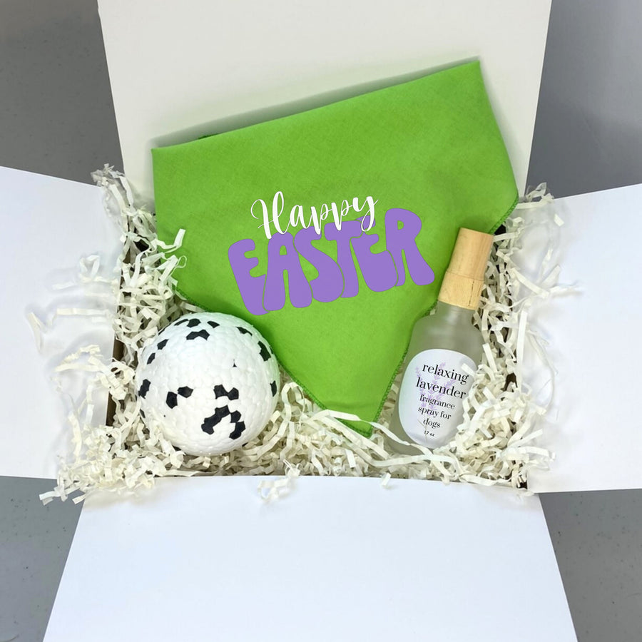 Dog Easter Basket Gift Box | Holiday Present with Bandana & Toy for Dog