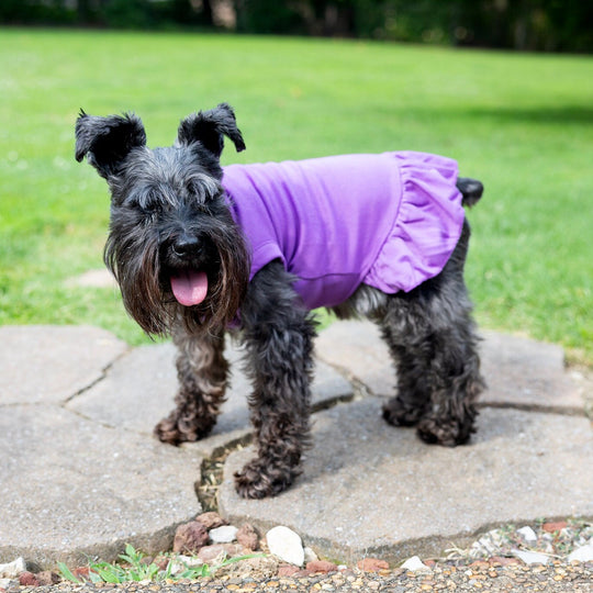Dog Outfit for Girl | Purple Summer Dress for Small Puppy or XL Dog