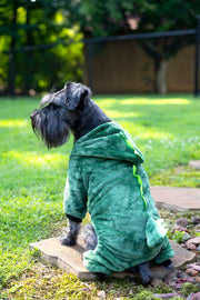 dog dinosaur costume, back view