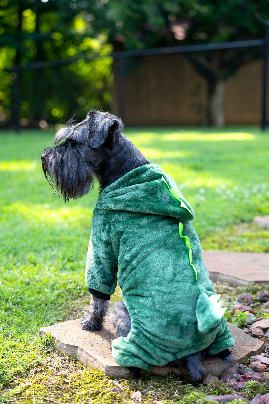 dog dinosaur costume, back view