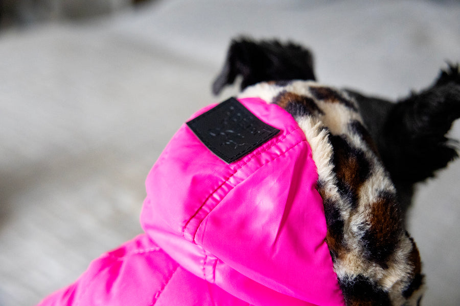 Dog puffer jacket with hood, close up of fur