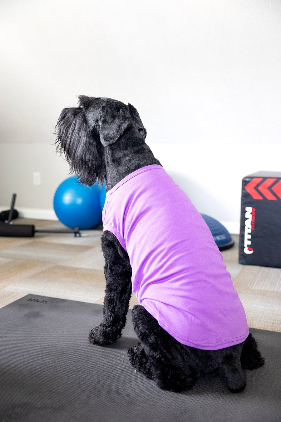 Purple Blank Pet Shirt for DIY Customization - Perfect for Personalizing