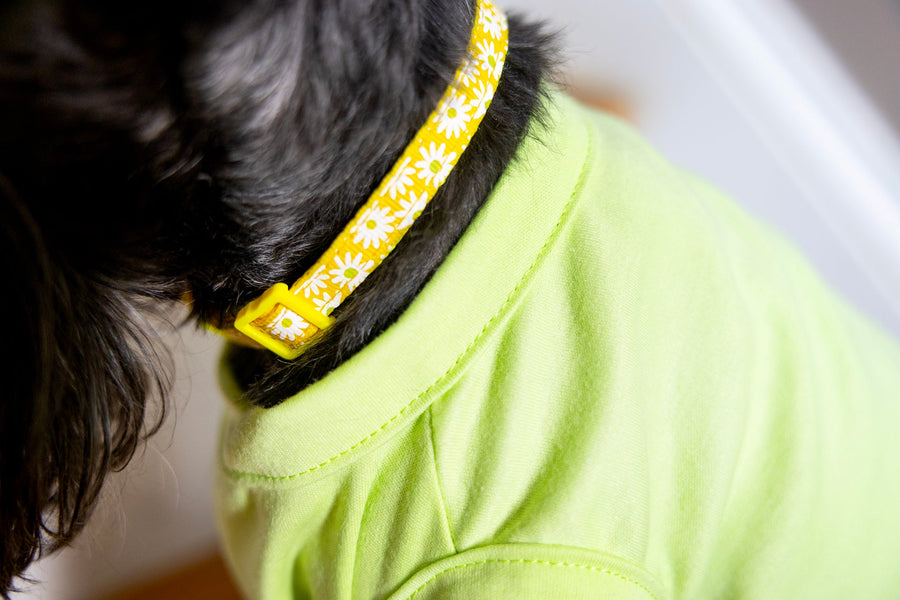 Dog T Shirt in Green with Cute Design