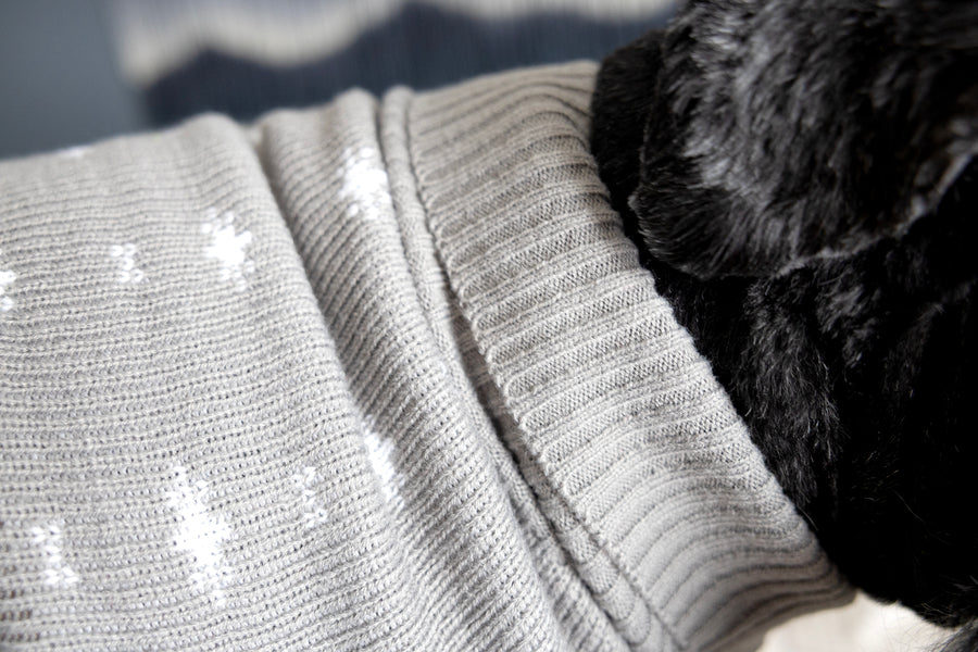 Close up of Dog turtleneck for Winter