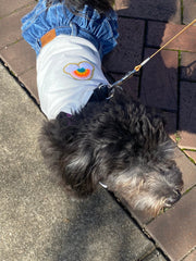 Easter Dog Dress | Denim Skirt, Tutu Style Harness Tank for Small Dogs