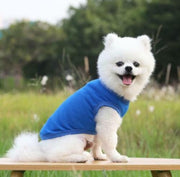 Easter Dog Shirt | Fits Toy to Giant Breeds for Holiday Fun