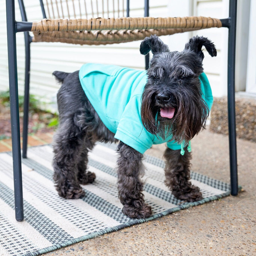Easter Dog Shirt in Teal | Cute Spring Outfit for Your Pet