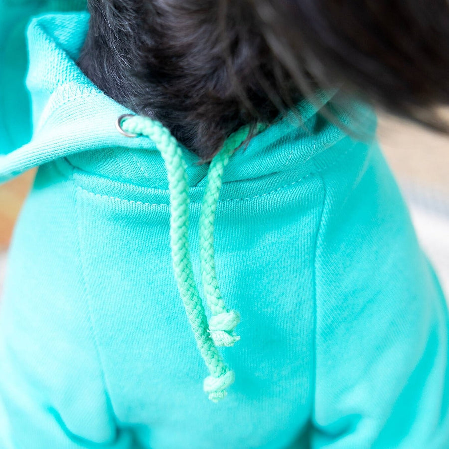 Easter Dog Shirt in Teal | Cute Spring Outfit for Your Pet