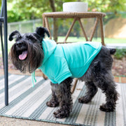 Easter Dog Shirt in Teal | Cute Spring Outfit for Your Pet