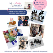 Emergency Alert Decal for Pet | First Aid Sticker for Pet Safety