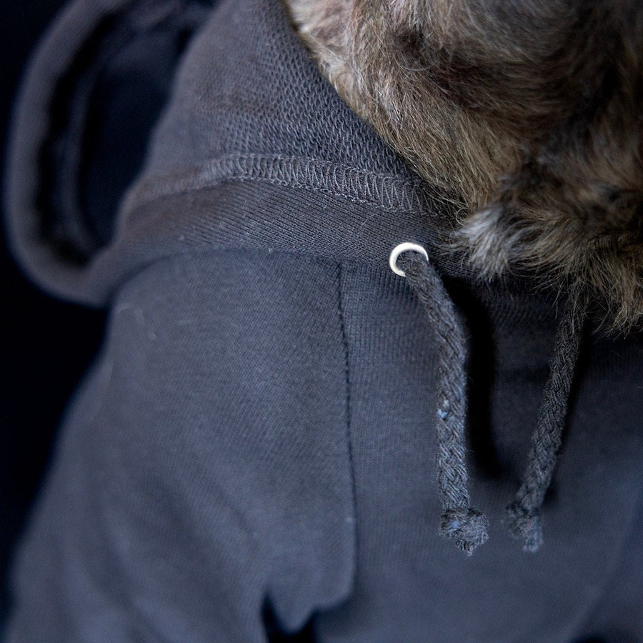 Fall Pet Sweatshirt | Cozy Dog Sweater to Keep Your Pet Warm