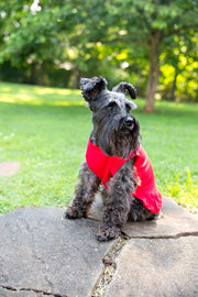 Fourth of July Red Dog Dress | Patriotic Pet Outfit for Your Dog