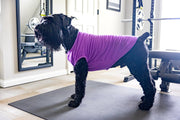 Funny Dog Tank for Girl Dog | Cute and Playful Pet Apparel