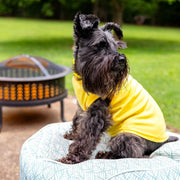 Funny Easter Shirt for Pet | Yellow Tee with Easter Egg Design for Giant Breeds