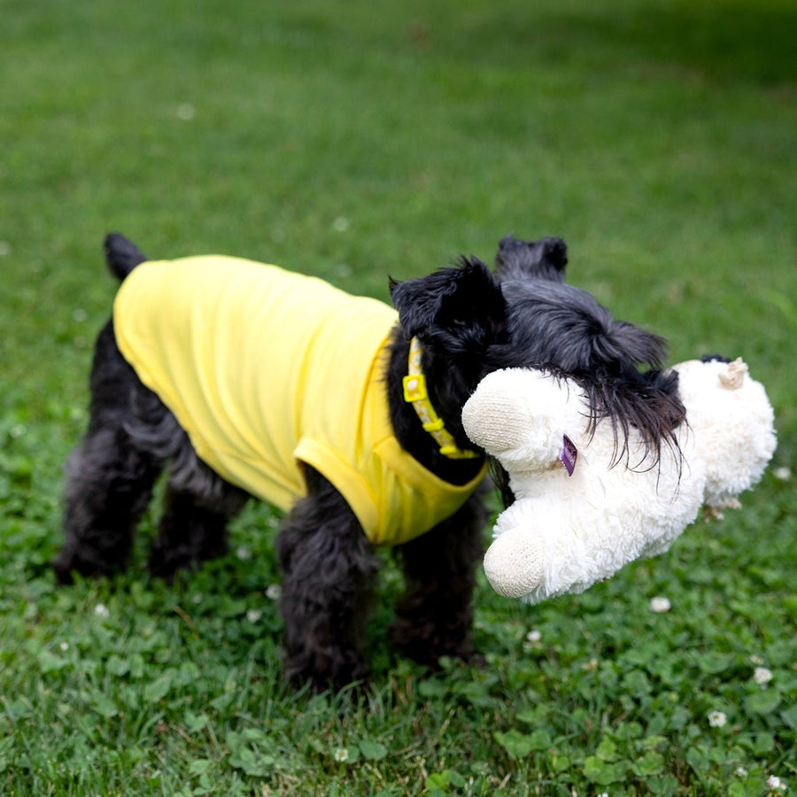 Funny Easter Shirt for Pet | Yellow Tee with Easter Egg Design for Giant Breeds