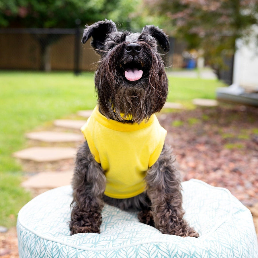 Funny Easter Shirt for Pet | Yellow Tee with Easter Egg Design for Giant Breeds