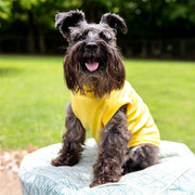 Funny Easter Shirt for Pet | Yellow Tee with Easter Egg Design for Giant Breeds