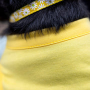 Funny Easter Shirt for Pet | Yellow Tee with Easter Egg Design for Giant Breeds