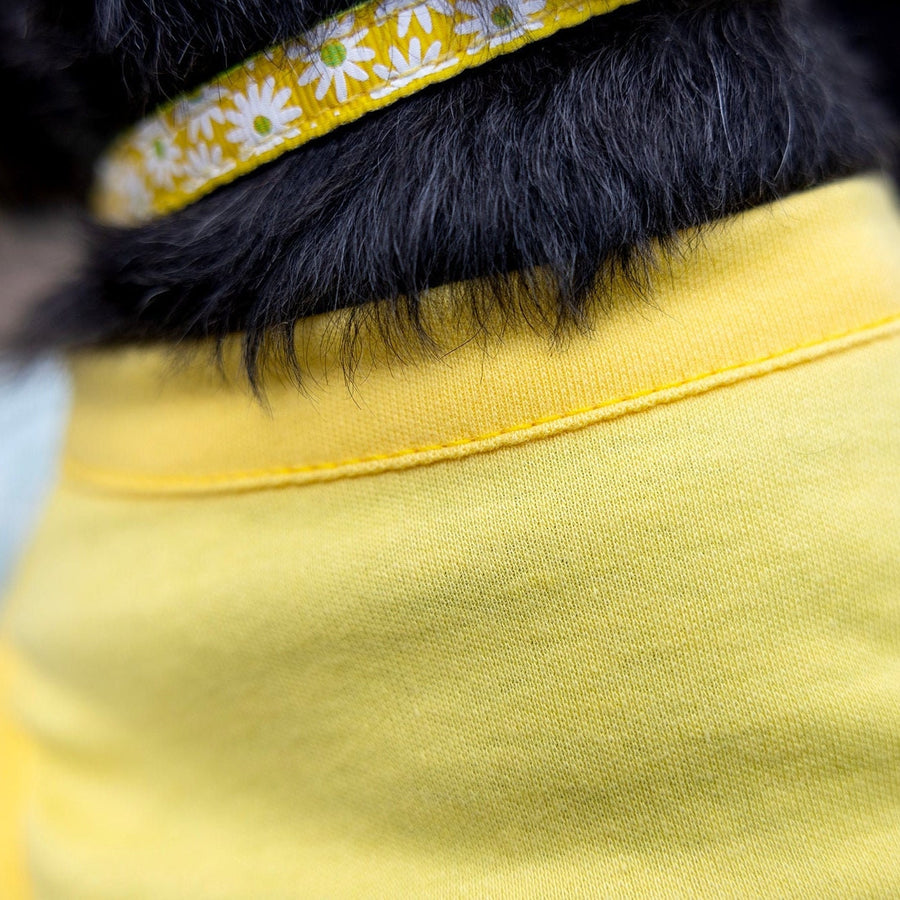 Funny Easter Shirt for Pet | Yellow Tee with Easter Egg Design for Giant Breeds