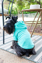DOG SWEATSHIRT BACK VIEW