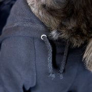 Halloween Dog Sweatshirt | Fall Pet Apparel for Spooky Season