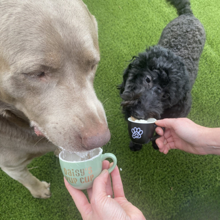 Halloween Gift for Dog | Pup Cup with Festive Design for Your Pet