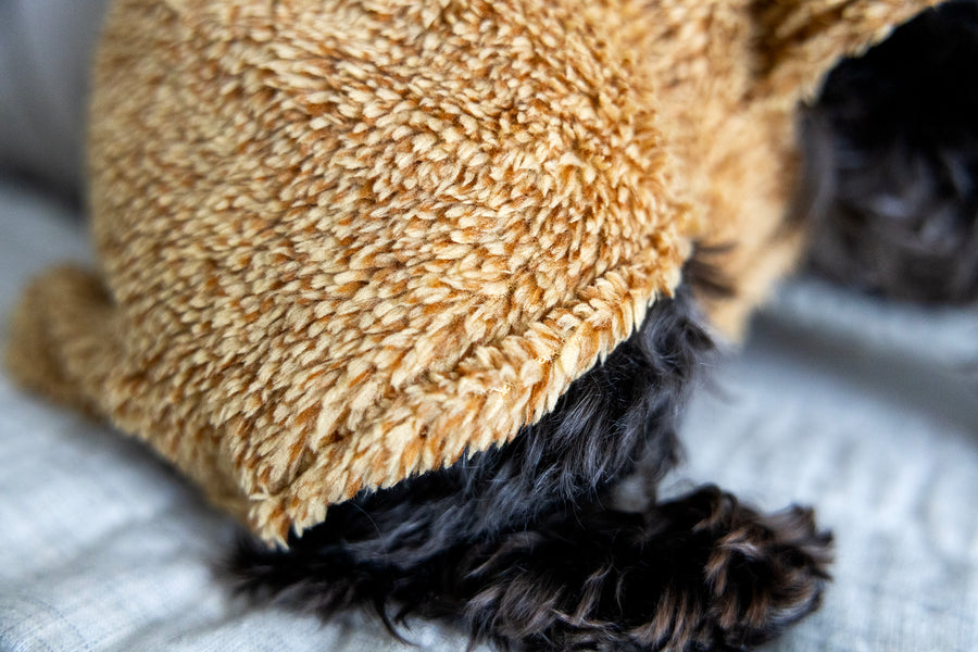 Halloween dog outfit close up of bottom at leg