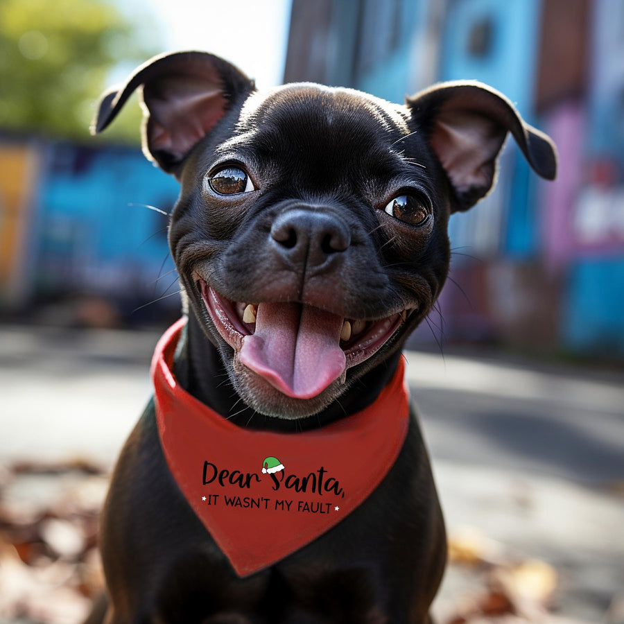 Holiday Dog Bandana Bundle | Festive Neckwear for Your Pet