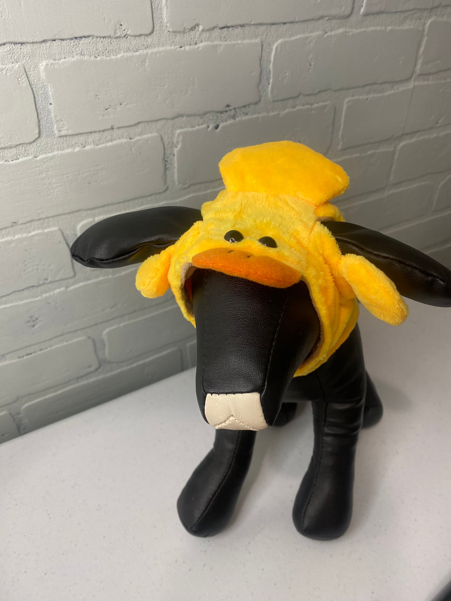 Halloween Hats for Cats and Small Dogs
