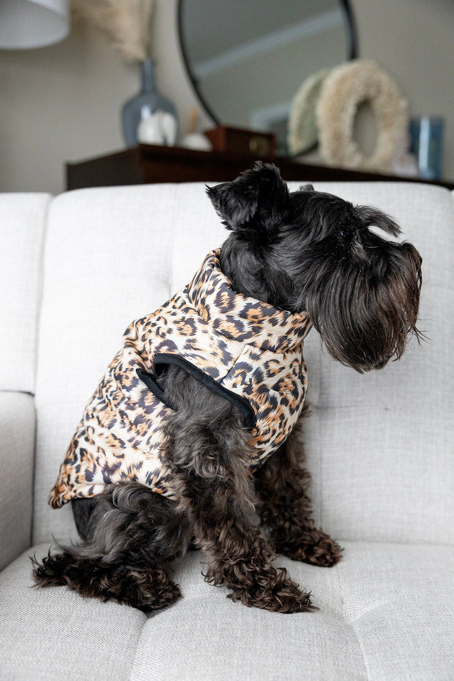 Leopard Print Dog Jacket with Name | Personalized Zipper Vest for Pet