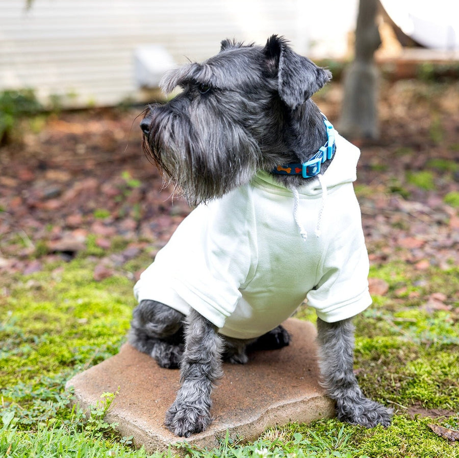 Lucky Dog St. Patrick's Day Hoodie | White Sweatshirt for Your Pet