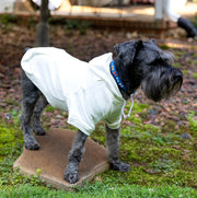 Lucky Dog St. Patrick's Day Hoodie | White Sweatshirt for Your Pet