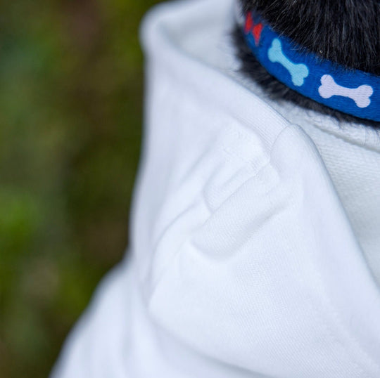 Lucky Dog St. Patrick's Day Hoodie | White Sweatshirt for Your Pet