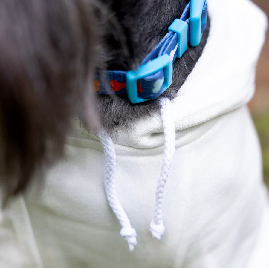 Lucky Dog St. Patrick's Day Hoodie | White Sweatshirt for Your Pet