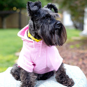 Mama's Girl Dog Shirt | Sweatshirt with Purple Letters for Your Pet