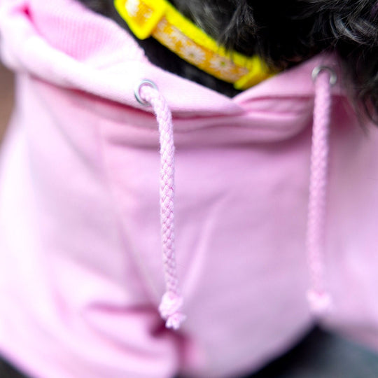 Mama's Girl Dog Shirt | Sweatshirt with Purple Letters for Your Pet