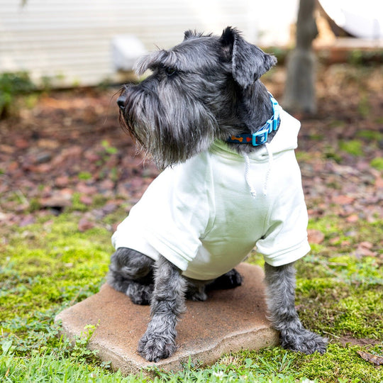 My First Easter Dog Hoodie | Spring Pastel T-Shirt with Bunny Ears
