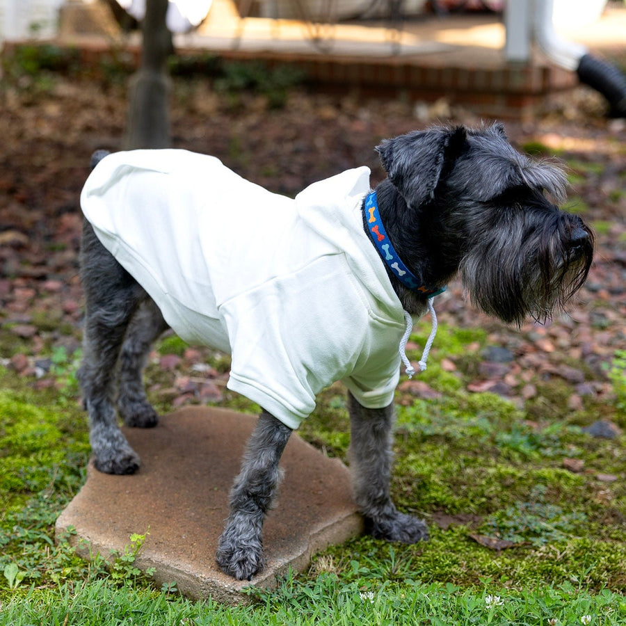 My First Easter Dog Hoodie | Spring Pastel T-Shirt with Bunny Ears