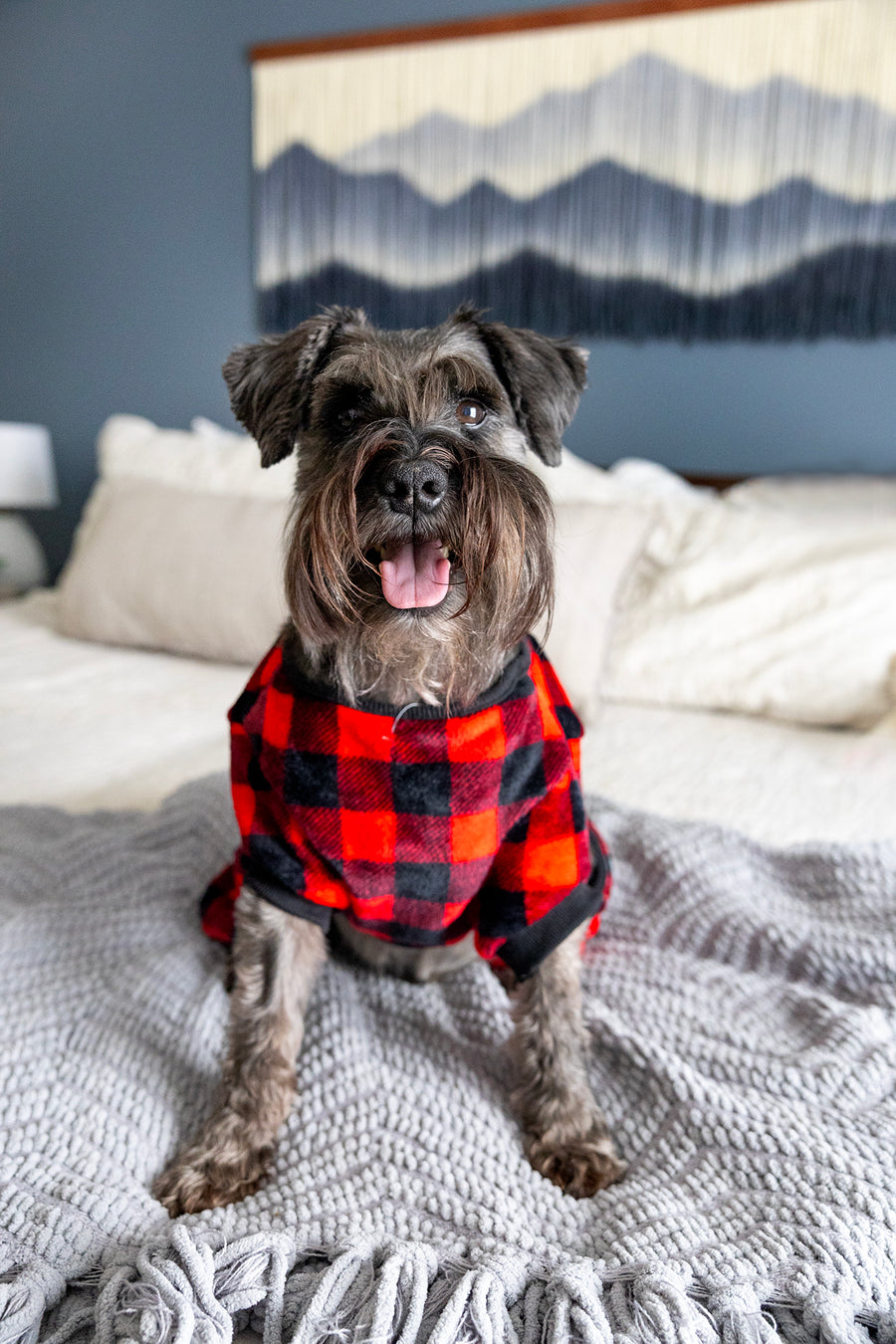 PJs for Dog Plaid, Buffalo Print Red and Black, Front view