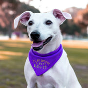 Perfect Birthday Gift Box: Dog Bandana, Fragrance Spray & Toy Ball