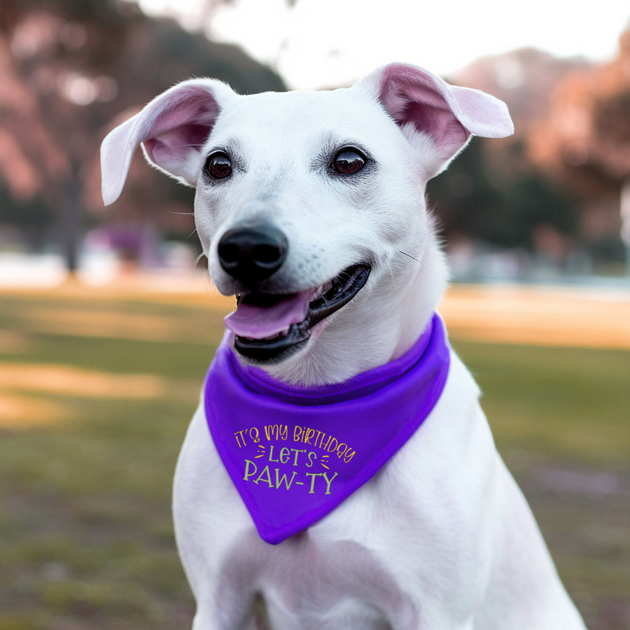 Perfect Birthday Gift Box: Dog Bandana, Fragrance Spray & Toy Ball