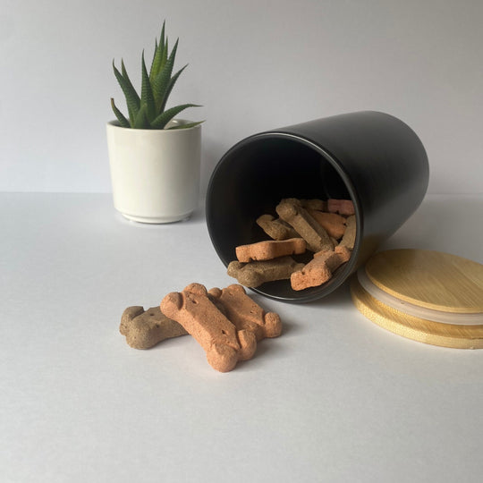 Personalized Cat Treat Canister - Custom Storage for Your Pet's Treats