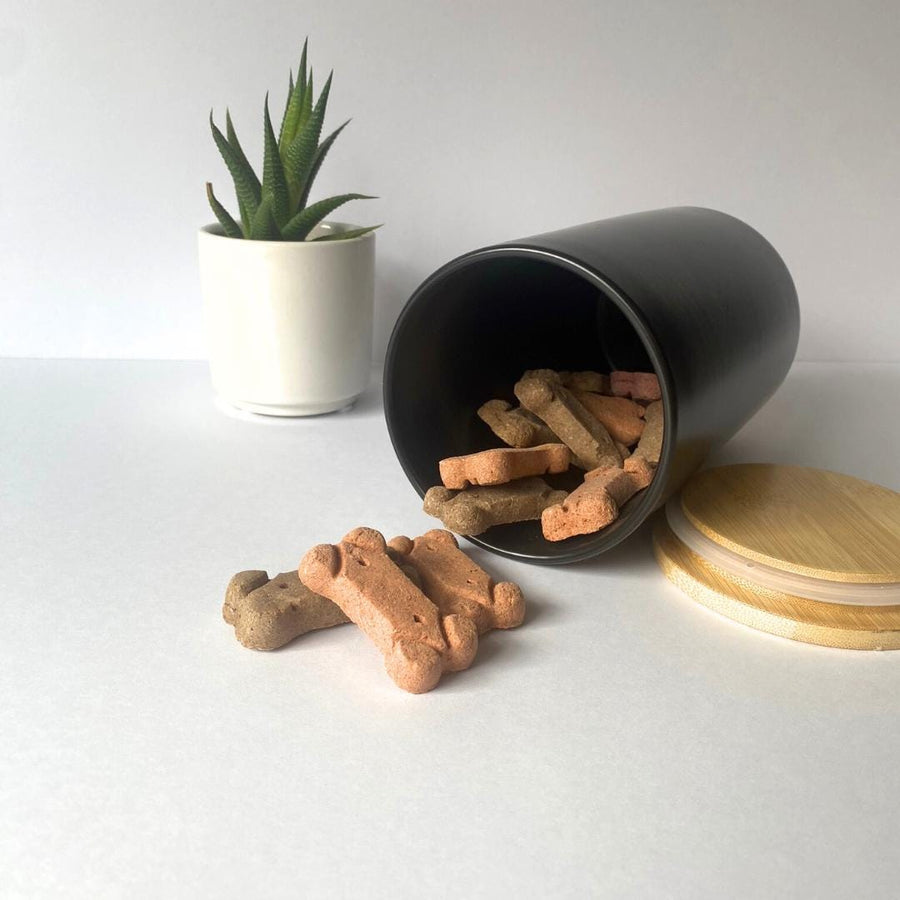 Personalized Cat Treat Canister - Custom Storage for Your Pet's Treats