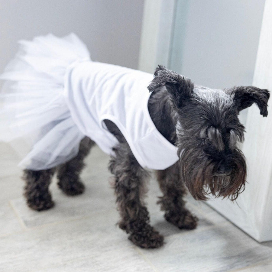 Personalized Dog Dress for Wedding | Custom Bridal Outfit for Your Pet