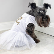 Party dress for pet